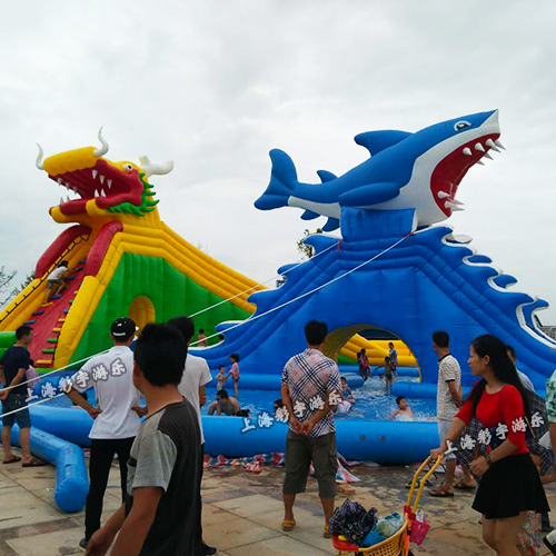 龍鯊組合